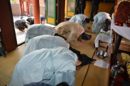 2. 재배